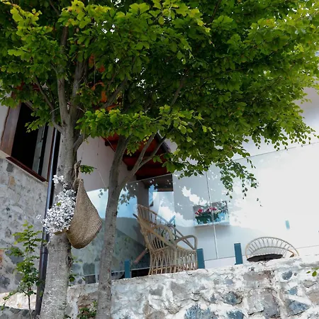 Hotel Thethi Theth