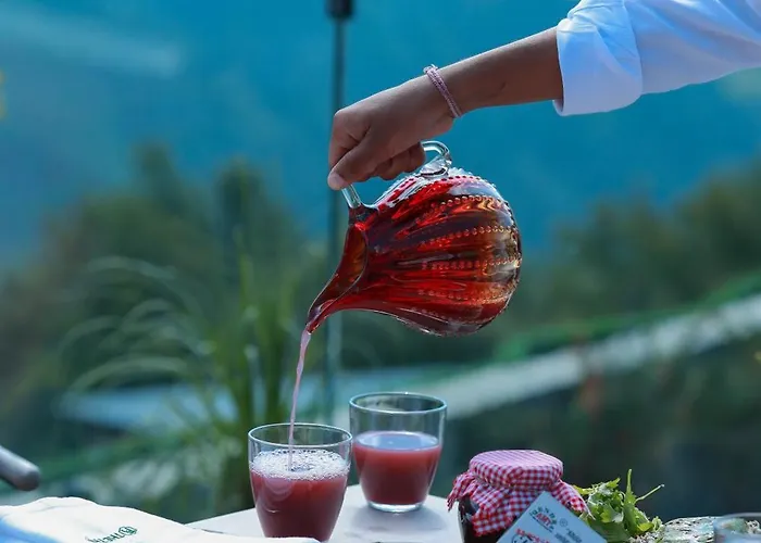 Ξενοδοχείο Thethi Theth